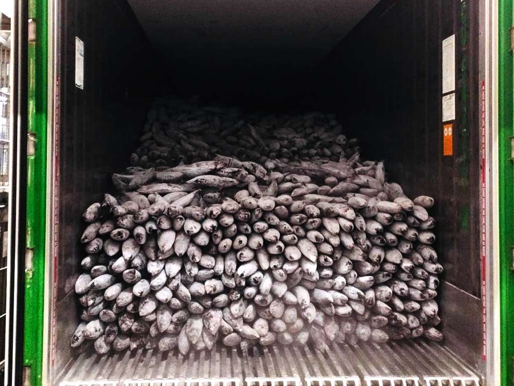 Fresh Frozen Seafood Supply Indonesia